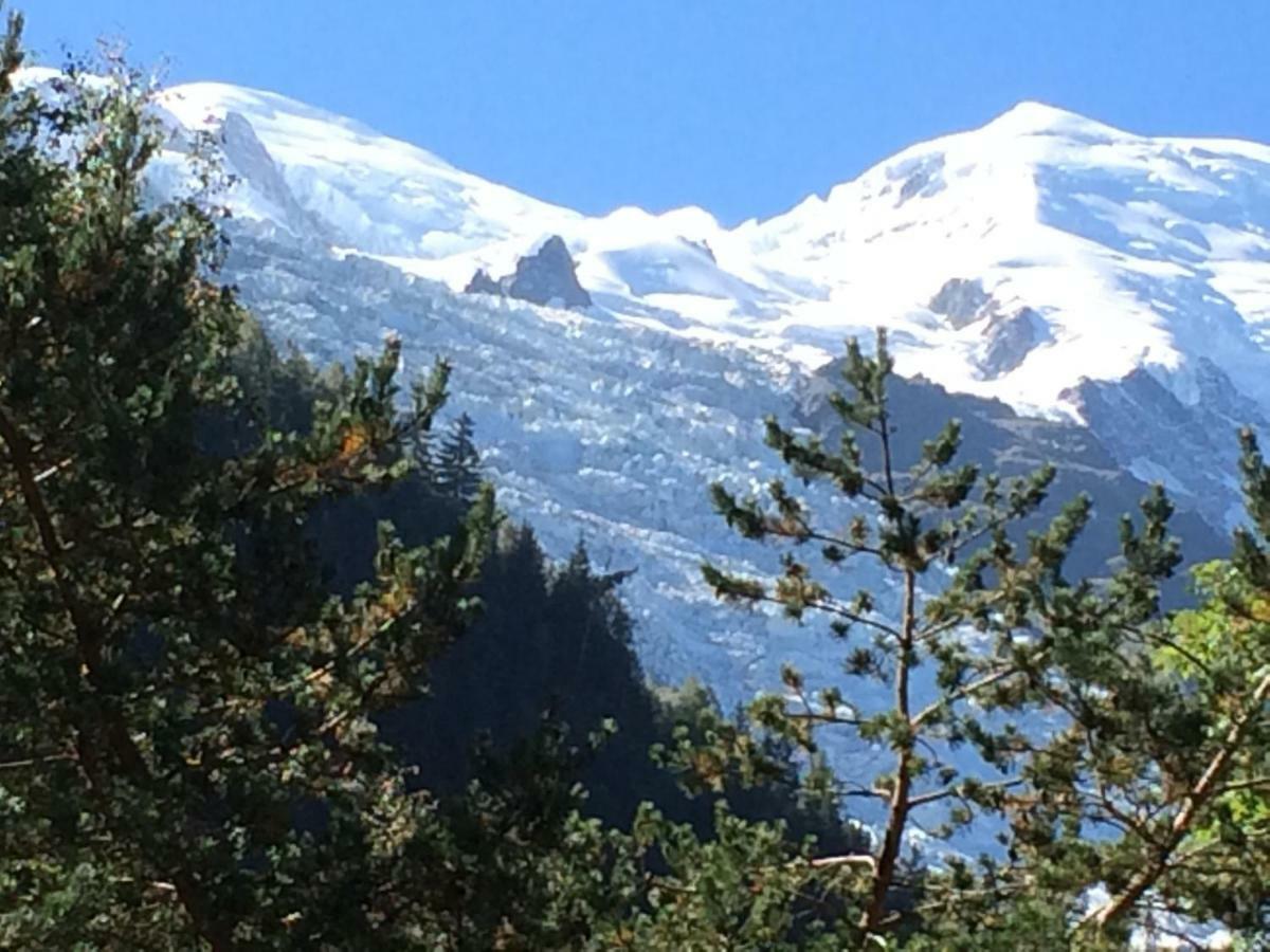Chalet Des Petits Loups Chamonix Mont Blanc Exterior foto