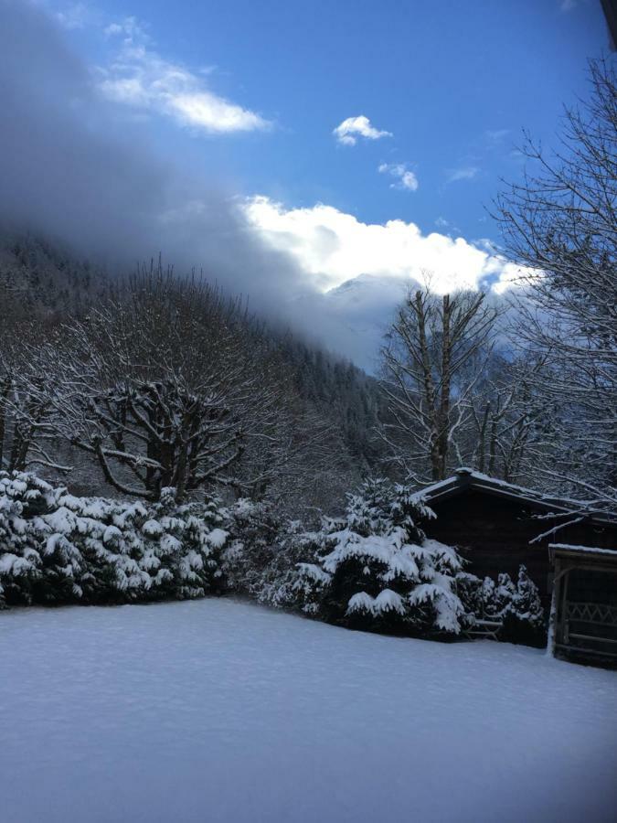 Chalet Des Petits Loups Chamonix Mont Blanc Exterior foto